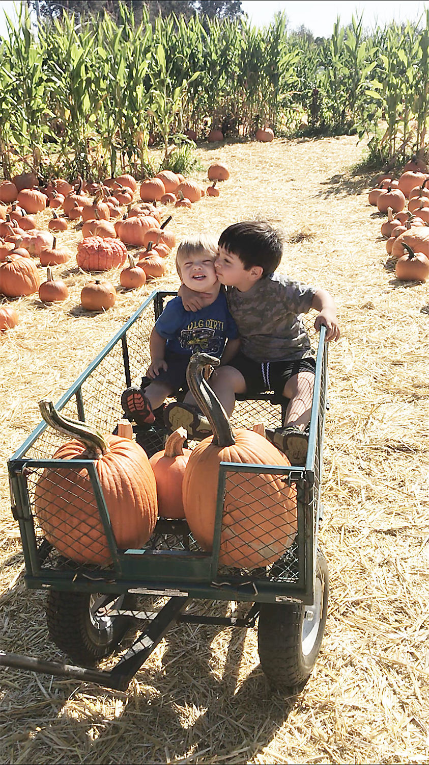 Pumpkin Patch